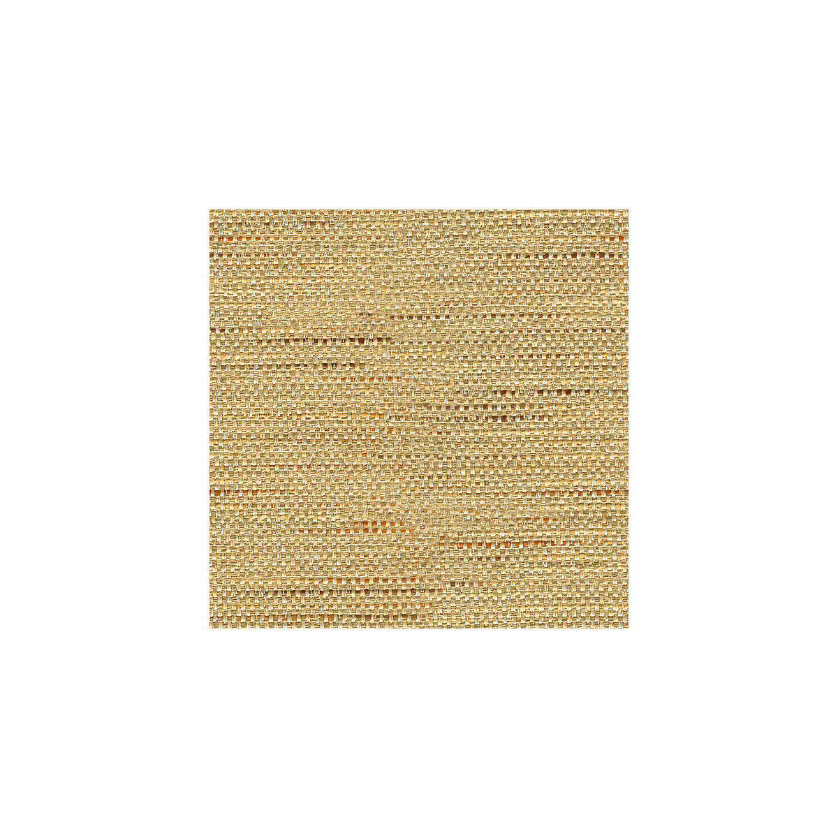 Kravet Basics-33135-1611