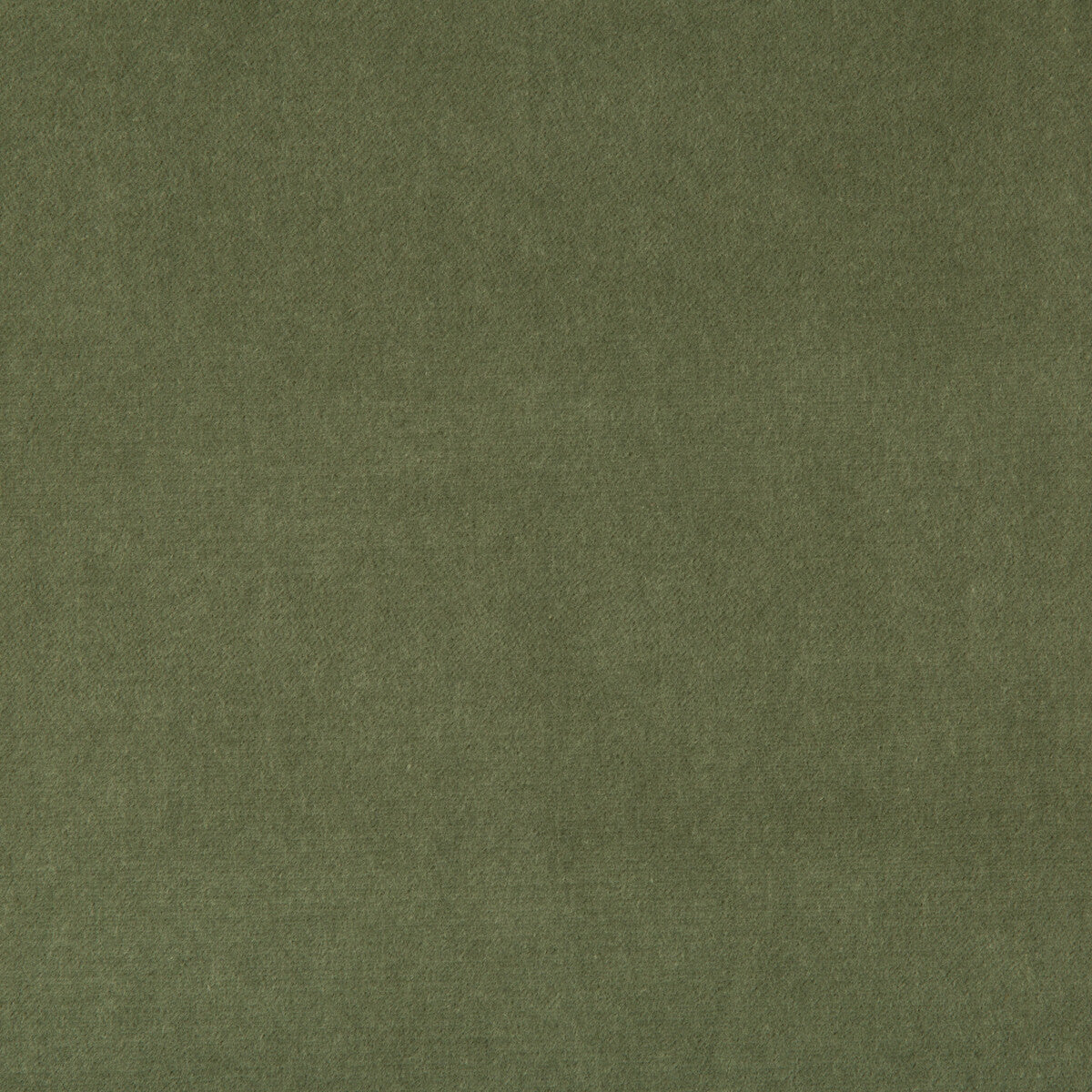 Kravet Basics-33299-313