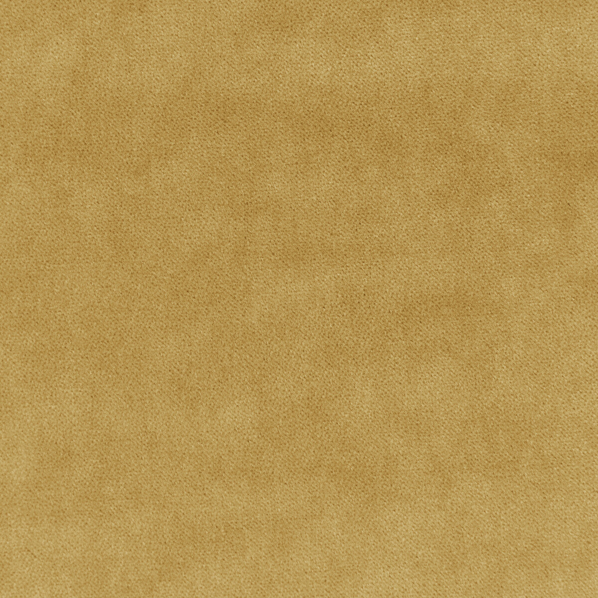 Kravet Basics-33299-4