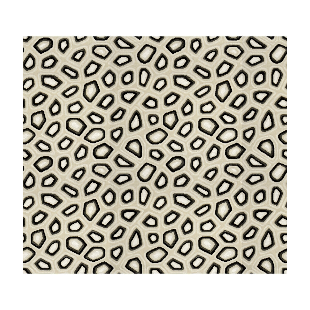 Chic Tortoise-Anthracite