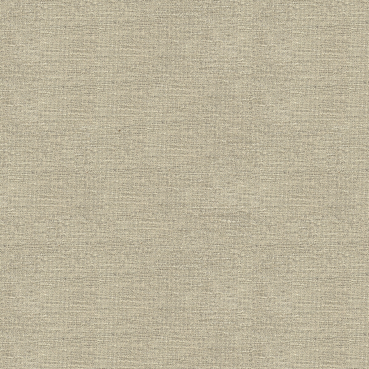 Kravet Contract-33876-1611