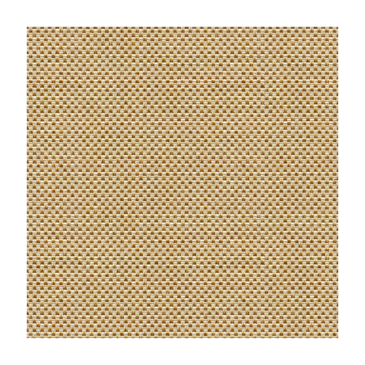 Sener-Ochre