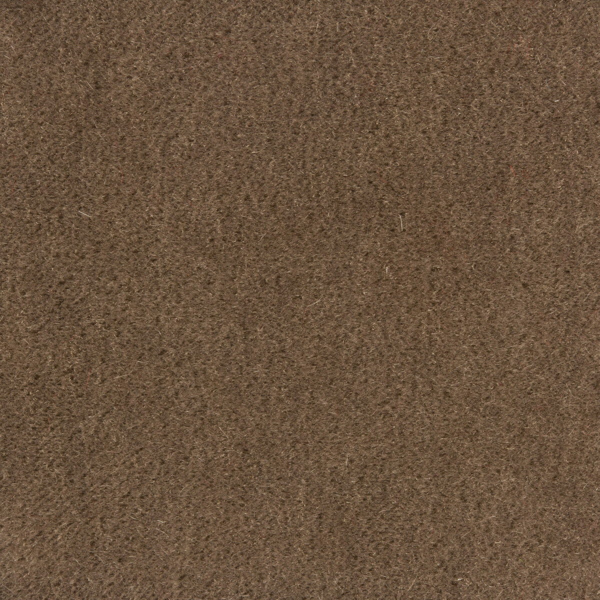Windsor Mohair-Falcon