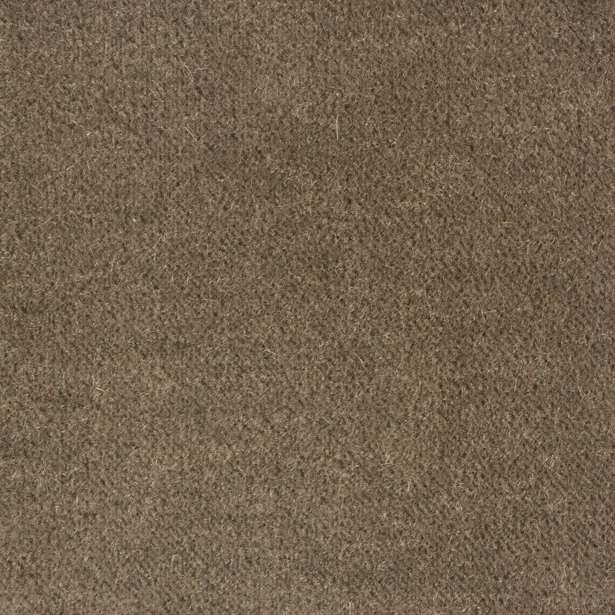 Windsor Mohair-Mushroom