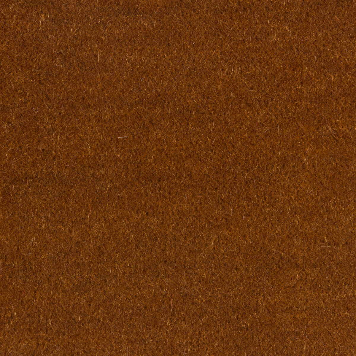 Windsor Mohair-Harvest