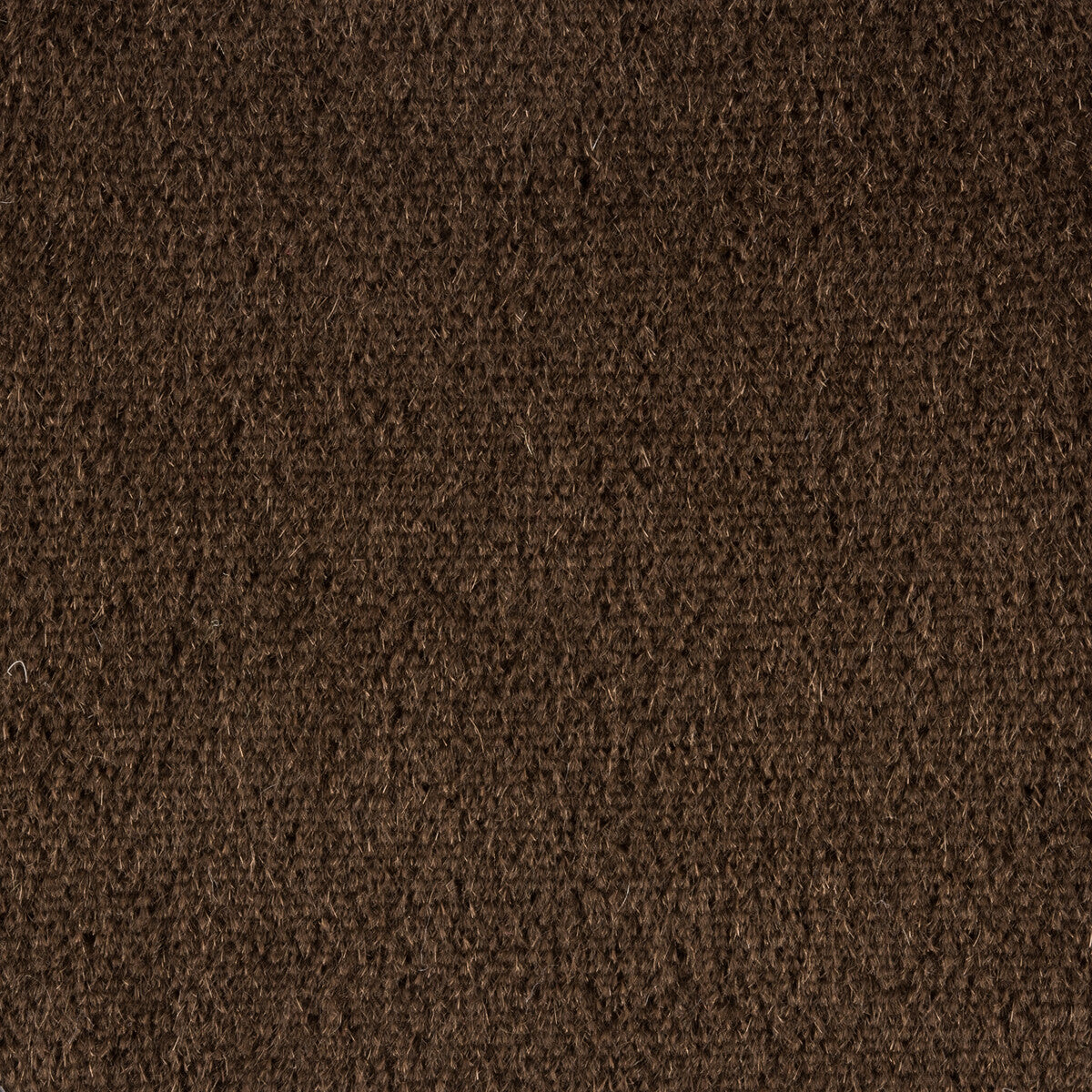 Plazzo Mohair-Java