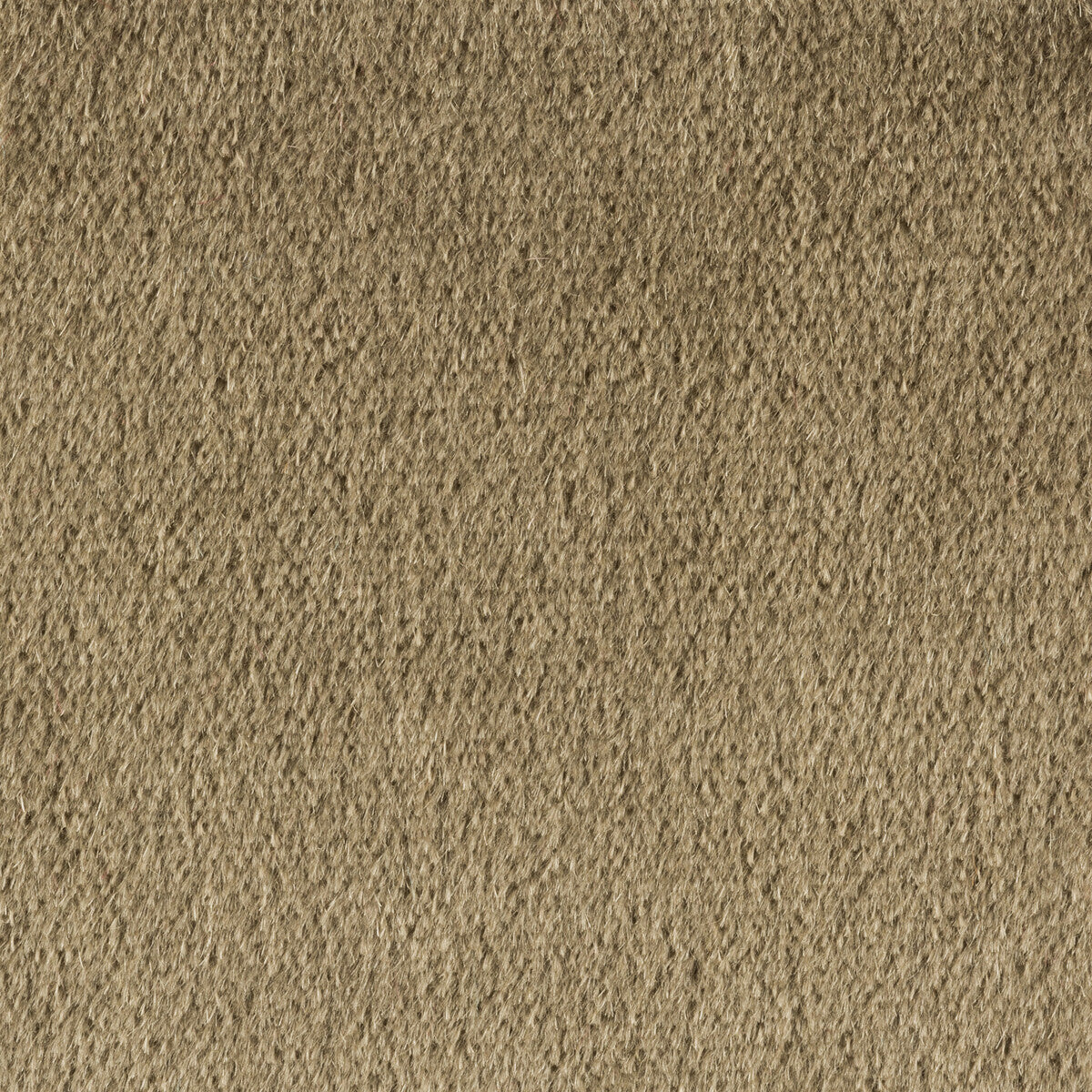Plazzo Mohair-Lead