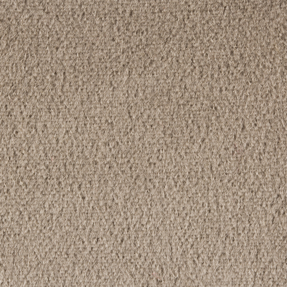 Plazzo Mohair-Fawn