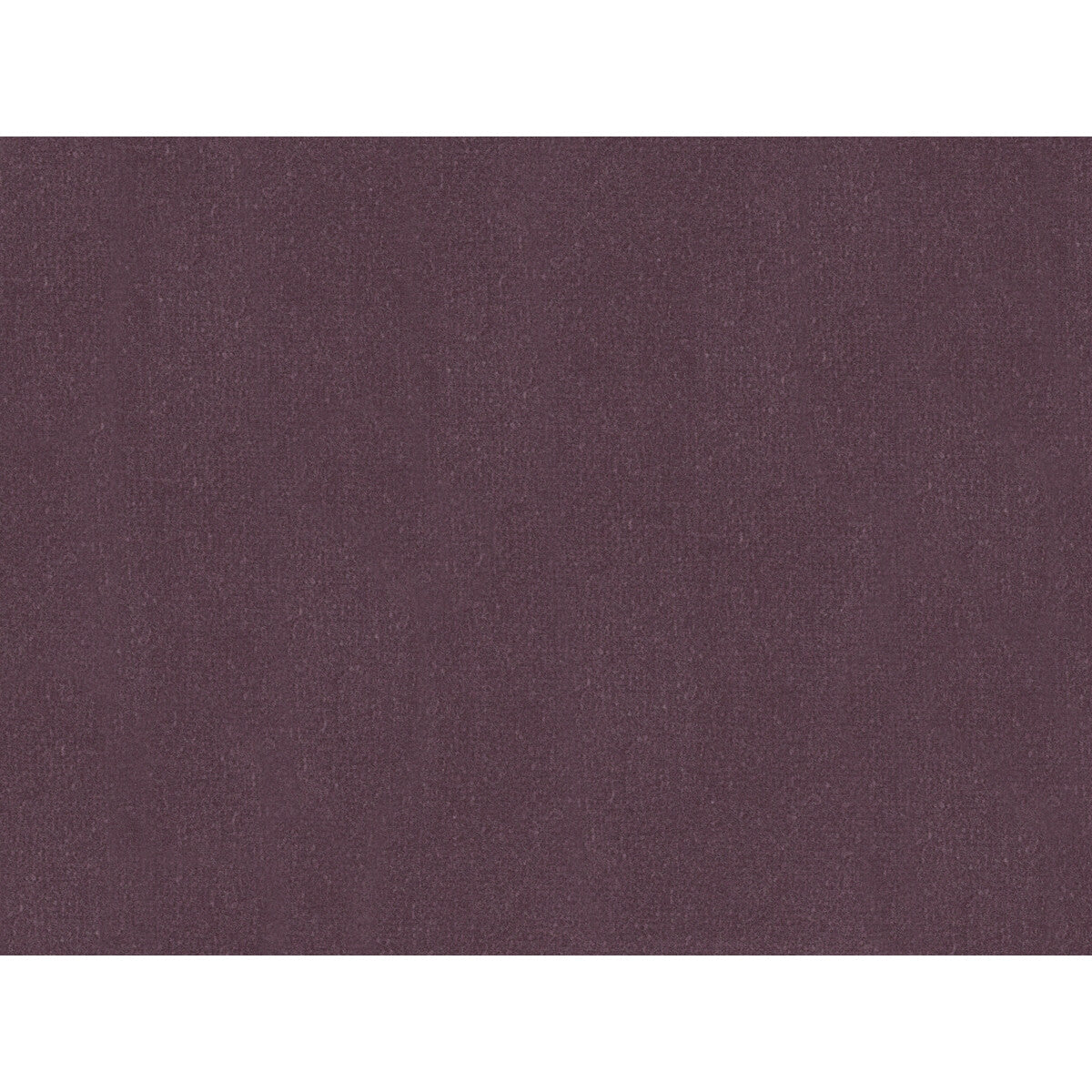 Statuesque-Lilac