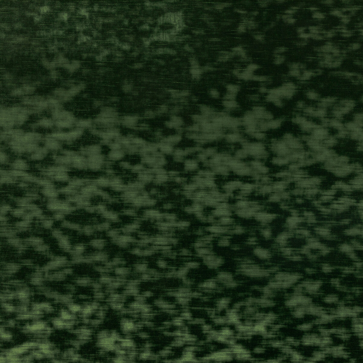 High Impact-Forest