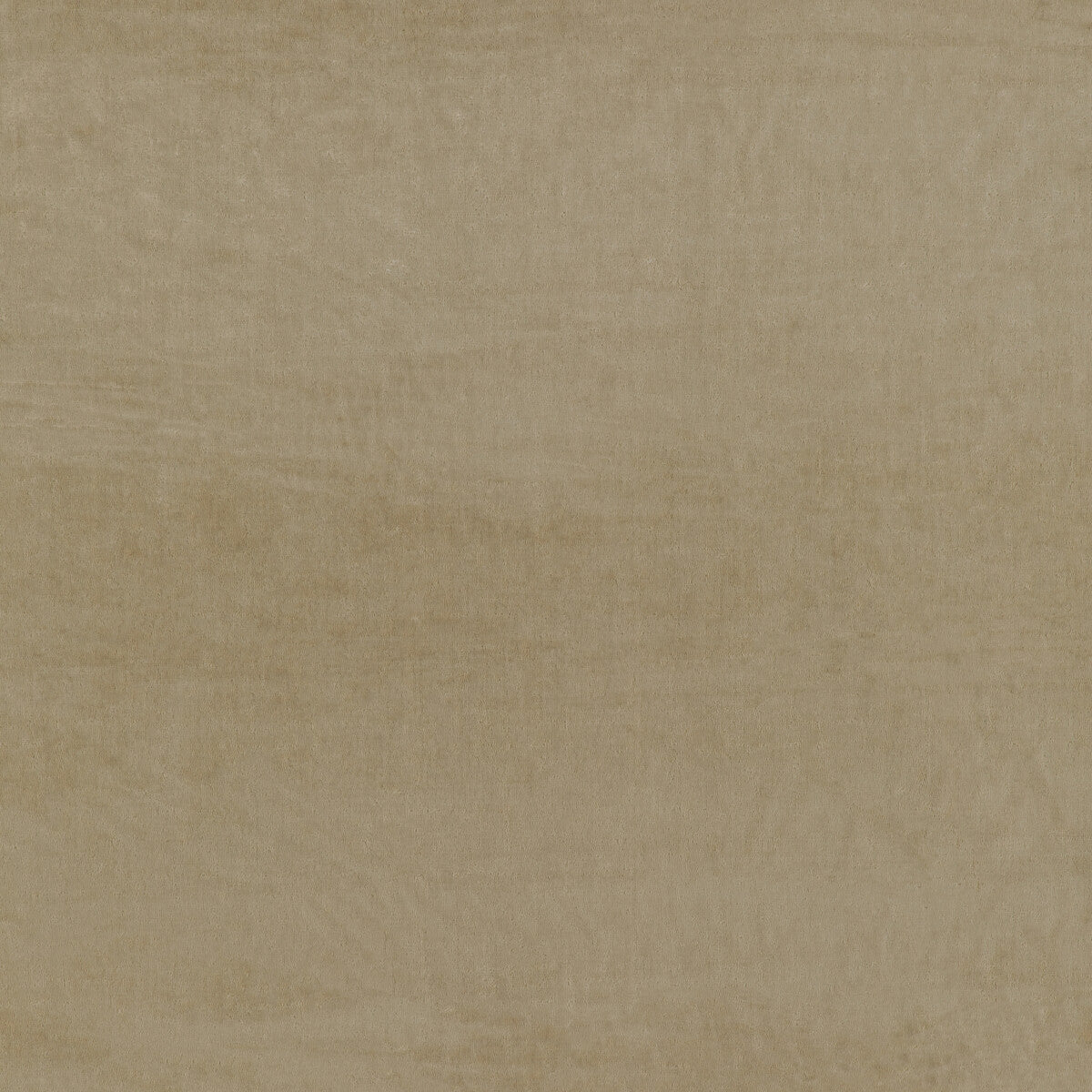 Fine Lines-Latte
