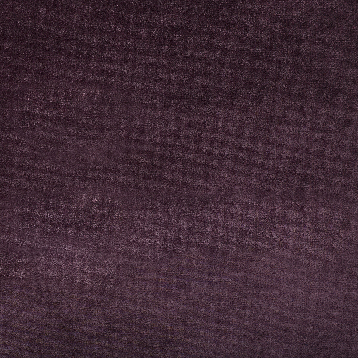 Duchess Velvet-Plum