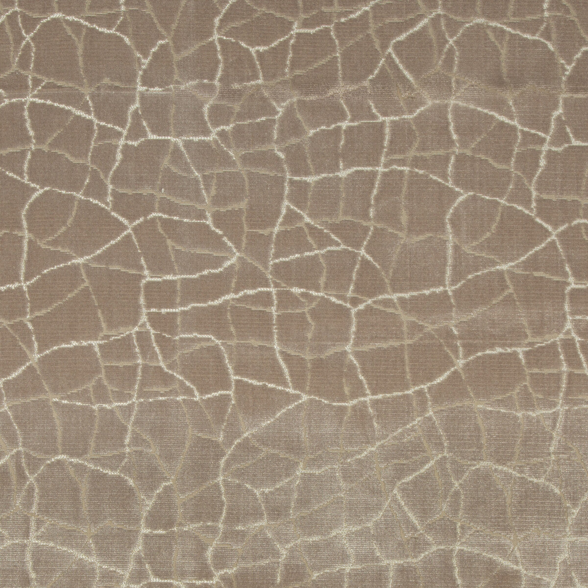 Formation-Fawn