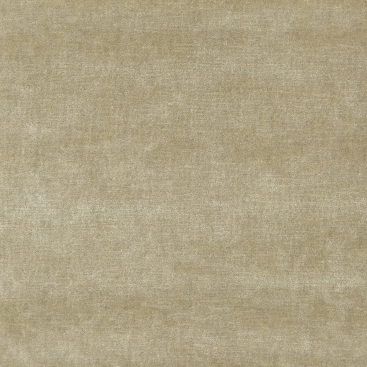 Queen's Velvet-Oyster