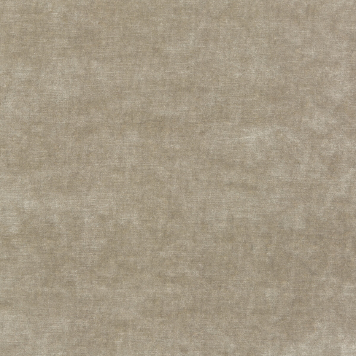 Queen's Velvet-Parchment