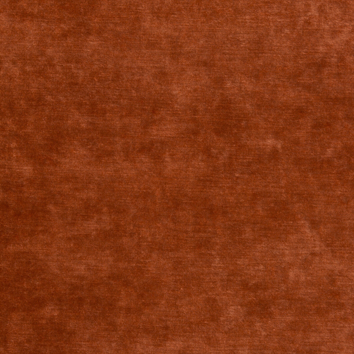Queen's Velvet-Amber