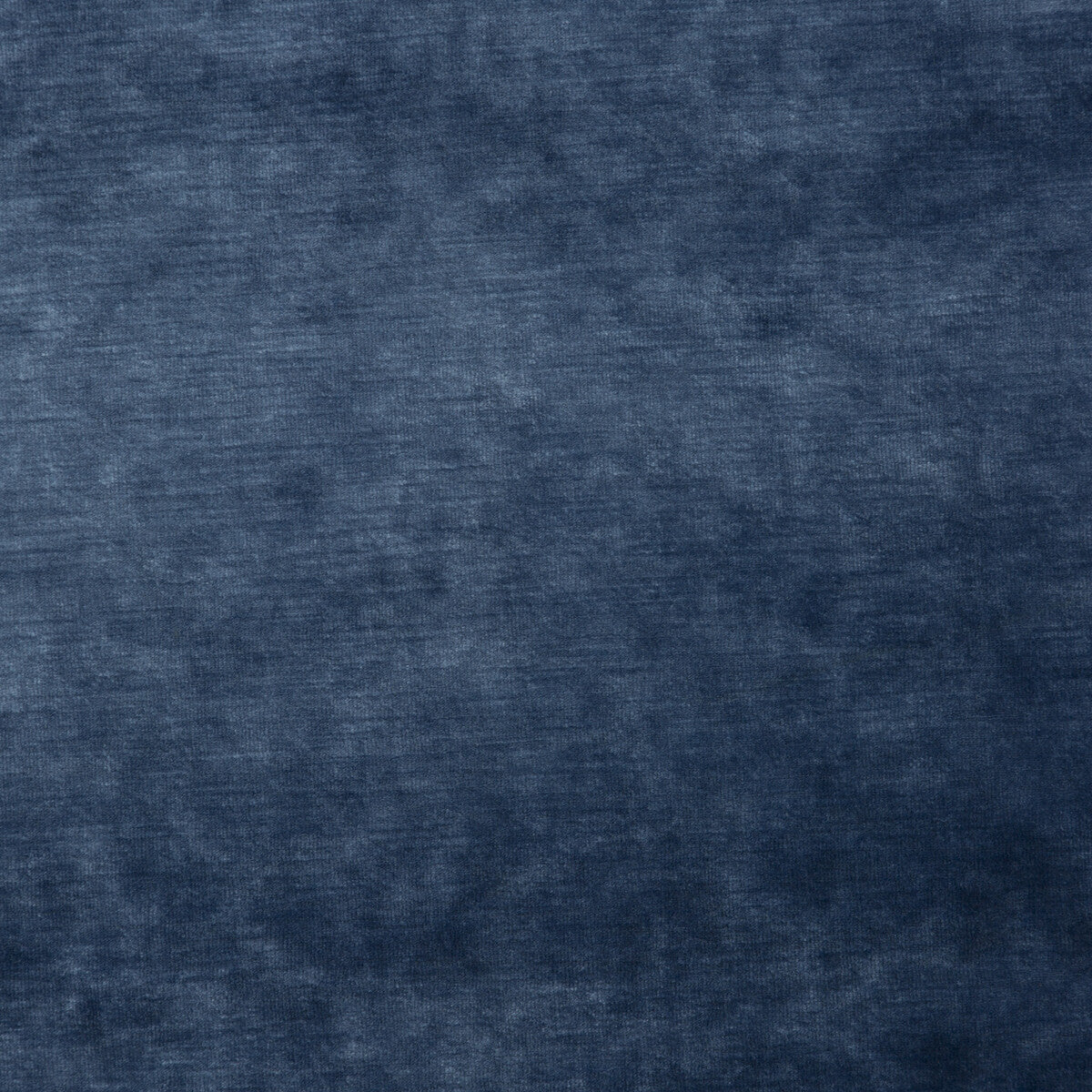 Queen's Velvet-Sapphire