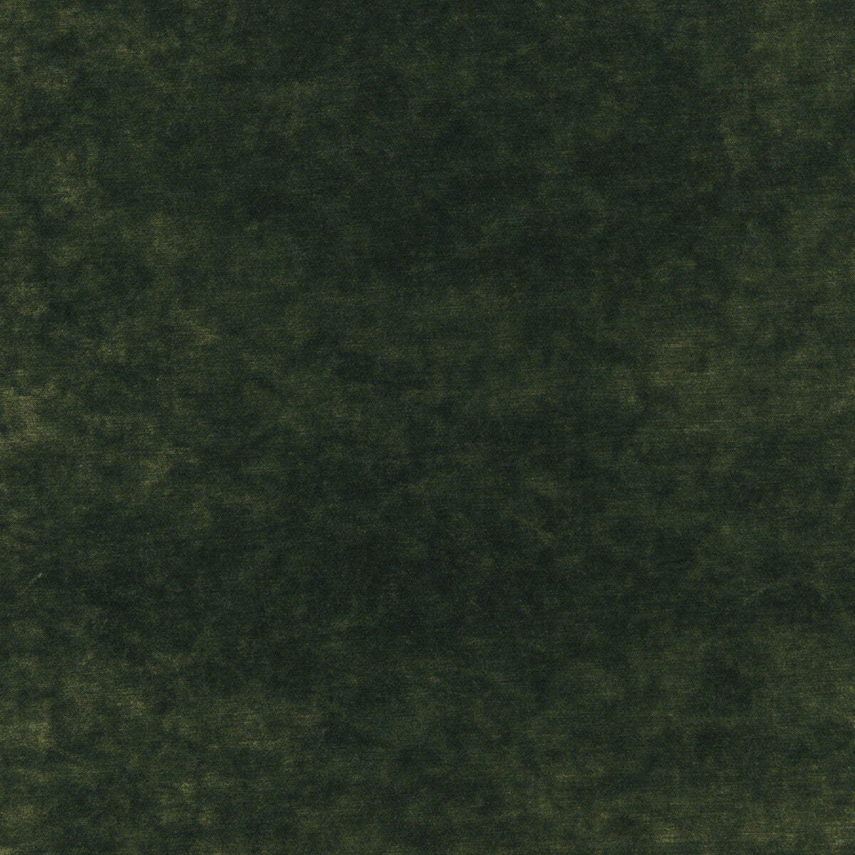 Queen's Velvet-Emerald