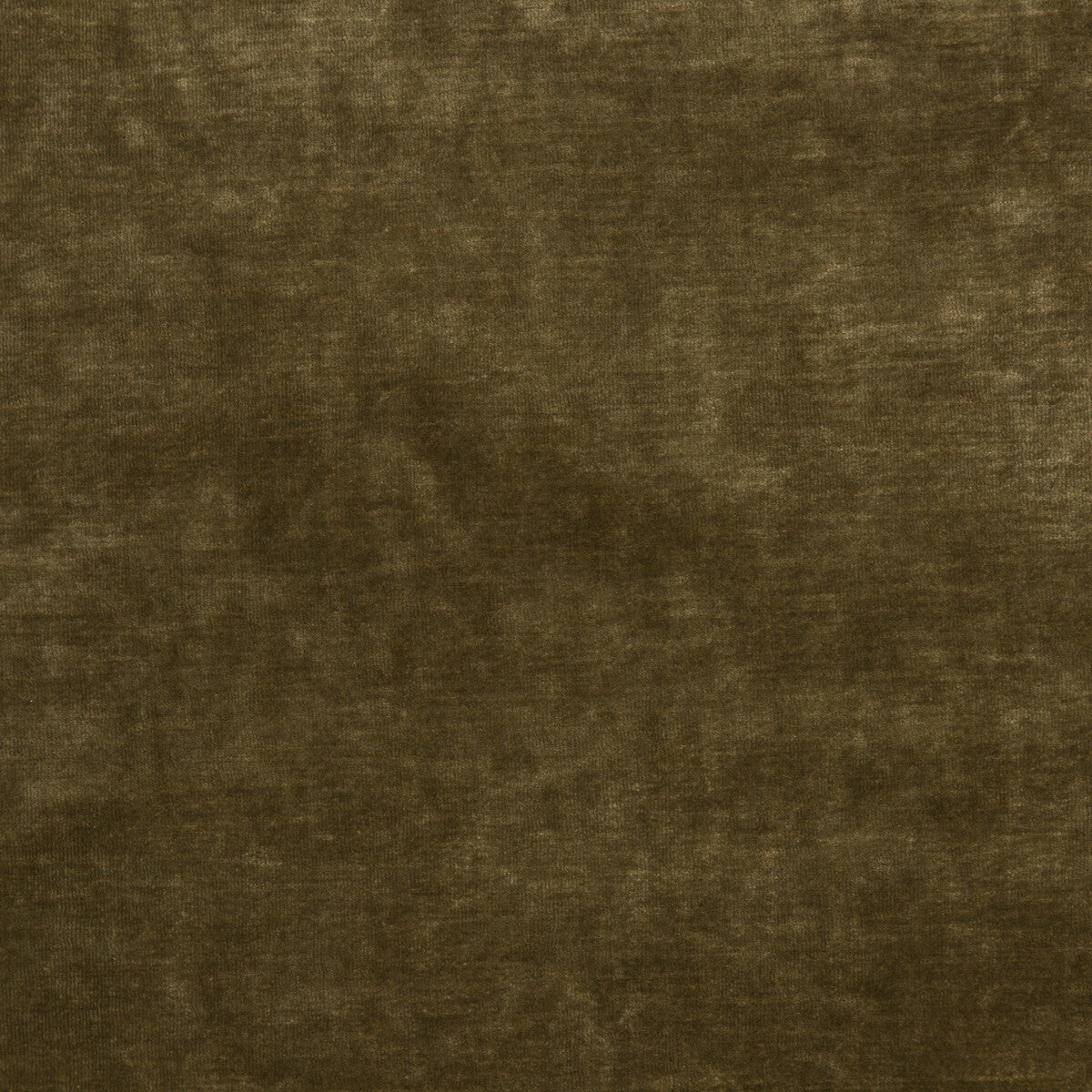Queen's Velvet-Gold