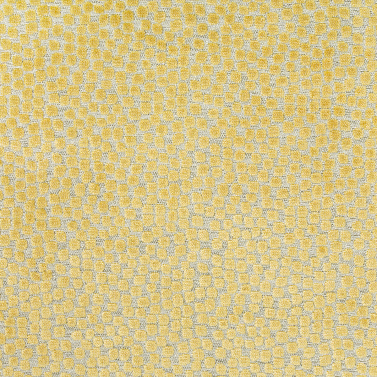 Flurries-Citrine