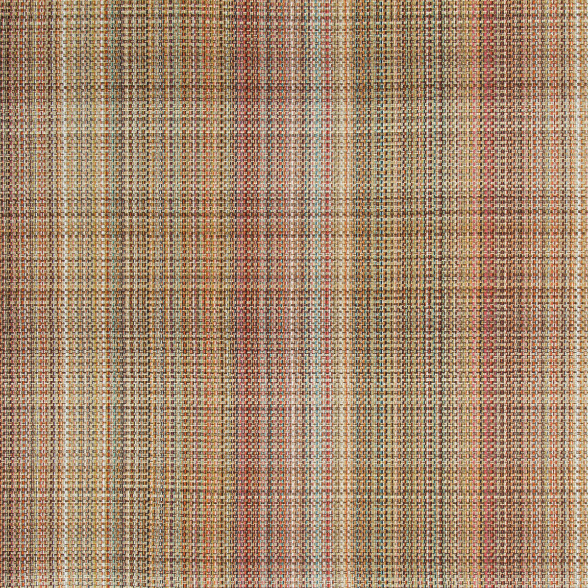 Tailor Made-Multi