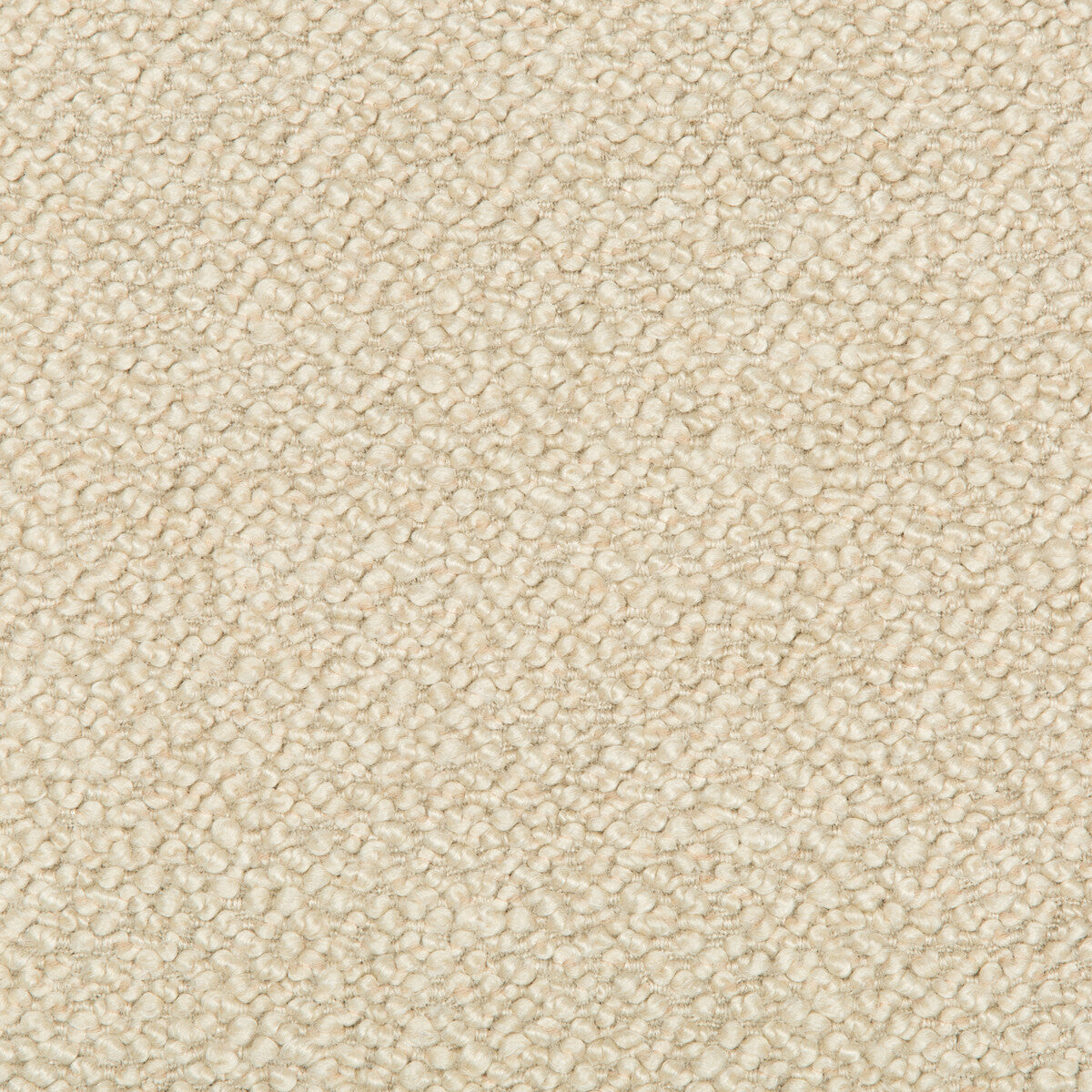 Babbit-Cashew