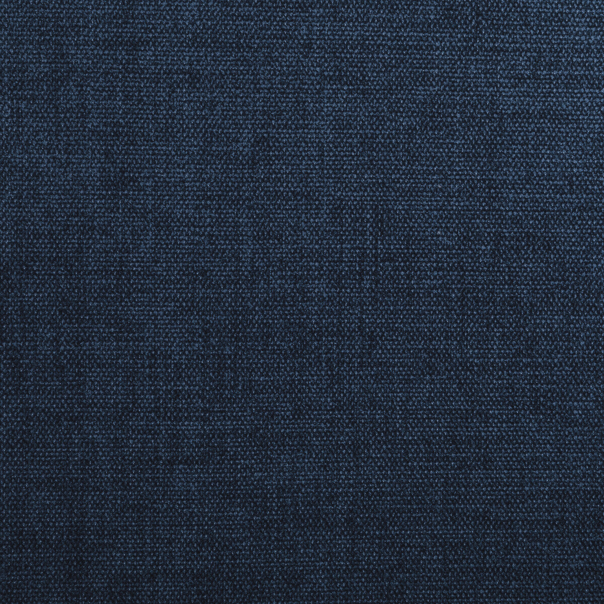 Kravet Smart-34959-5550