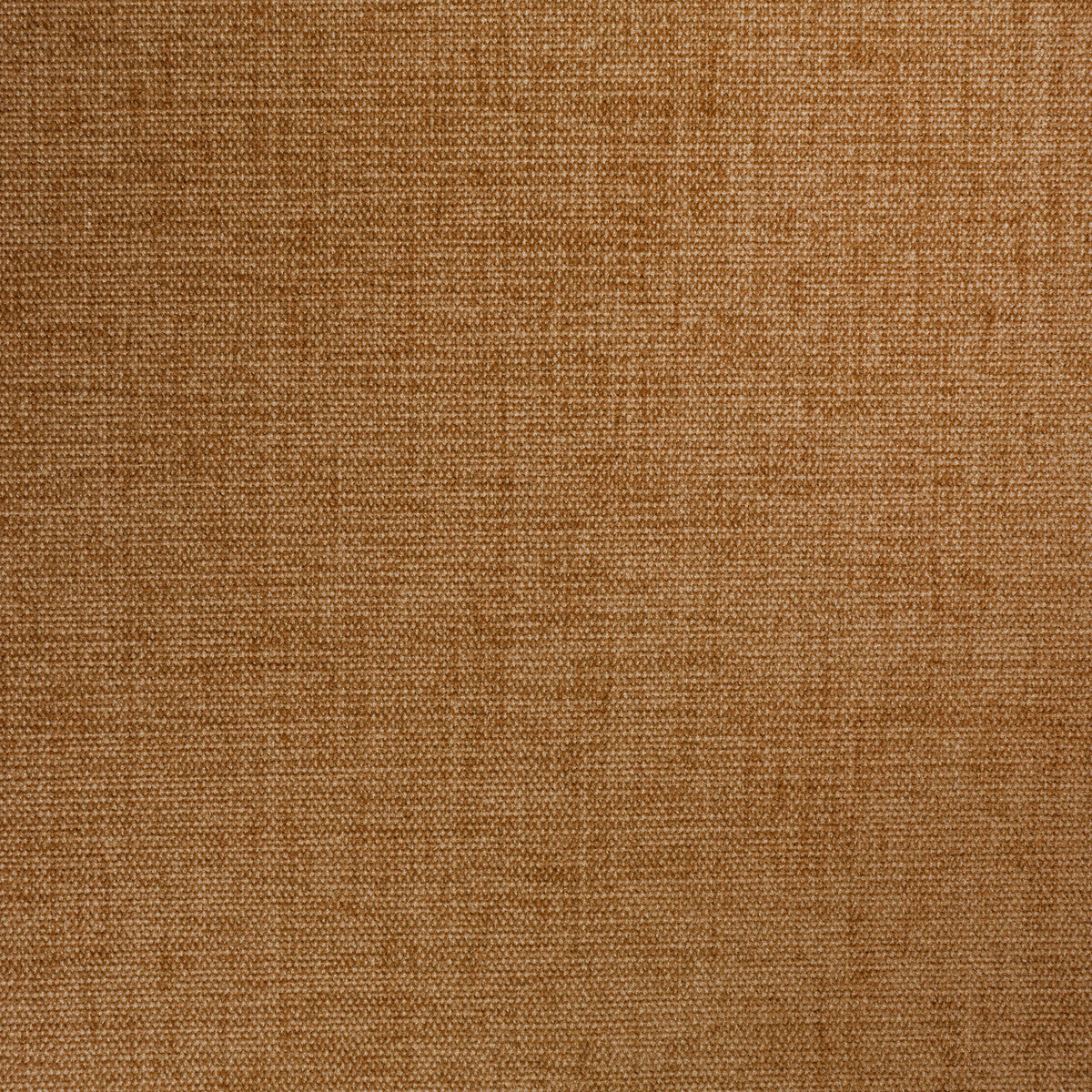 Kravet Contract-34961-16