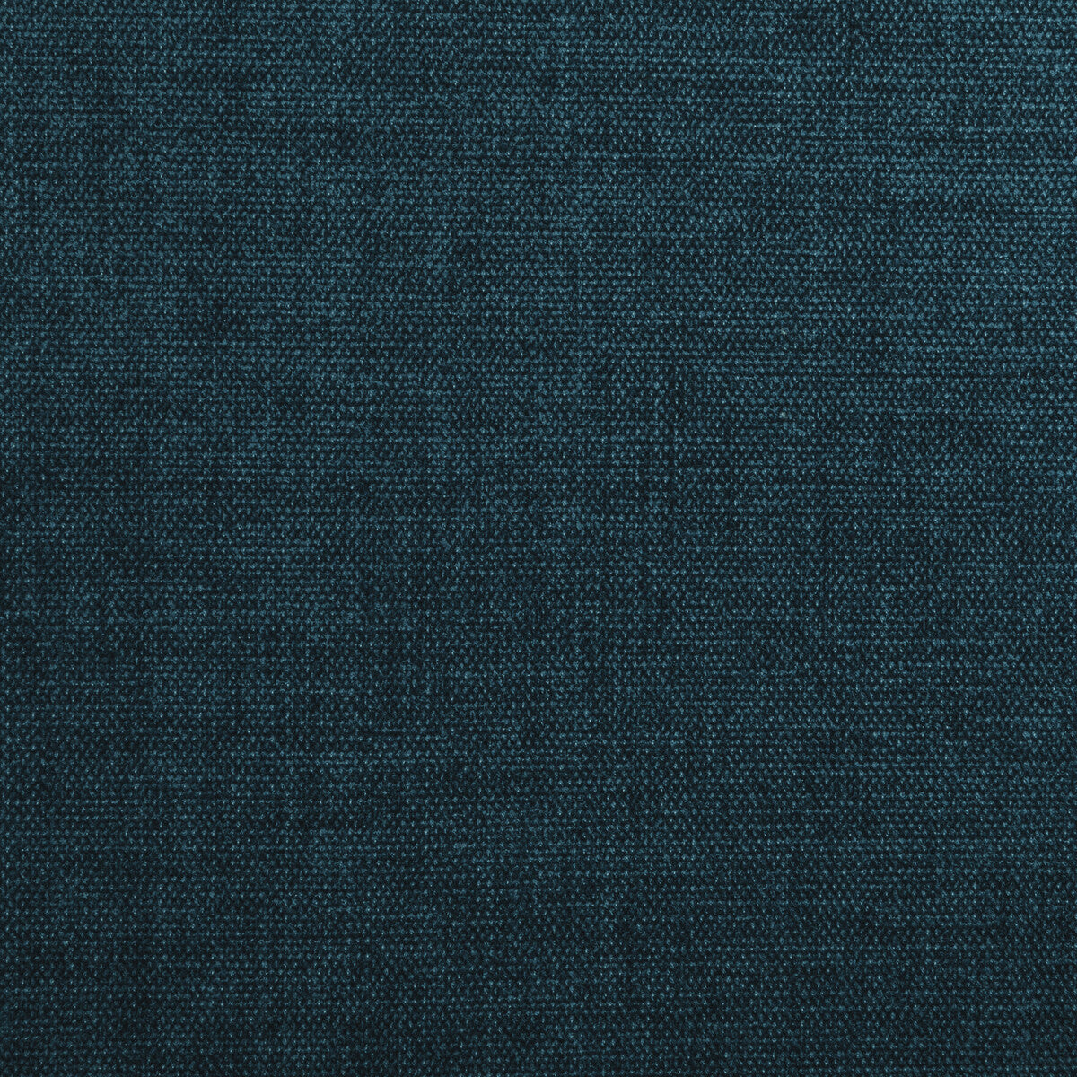 Kravet Contract-34961-555