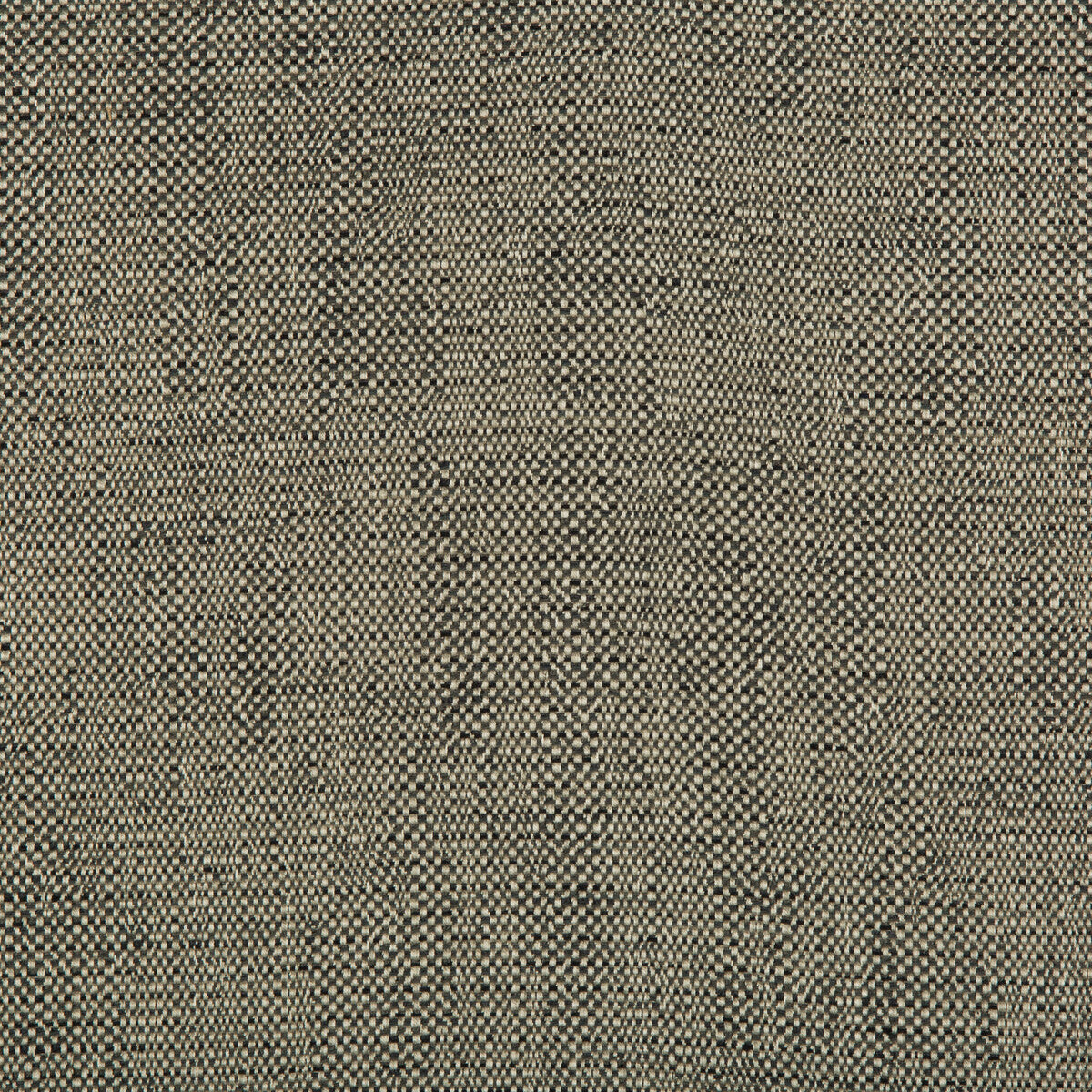 Kravet Contract-35132-21