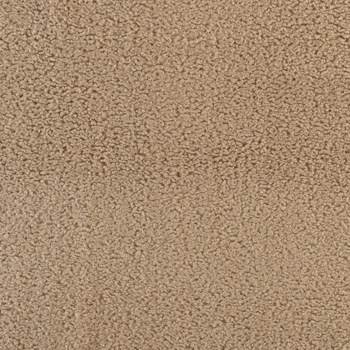Curly-Pebble