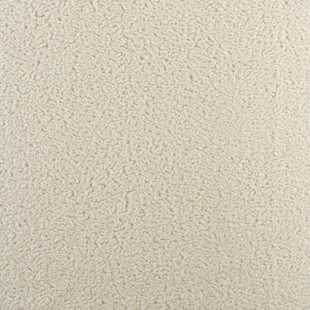 Curly-Ivory
