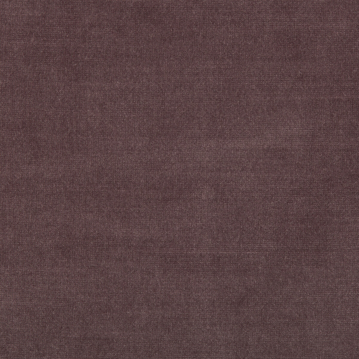 Chessford-Plum