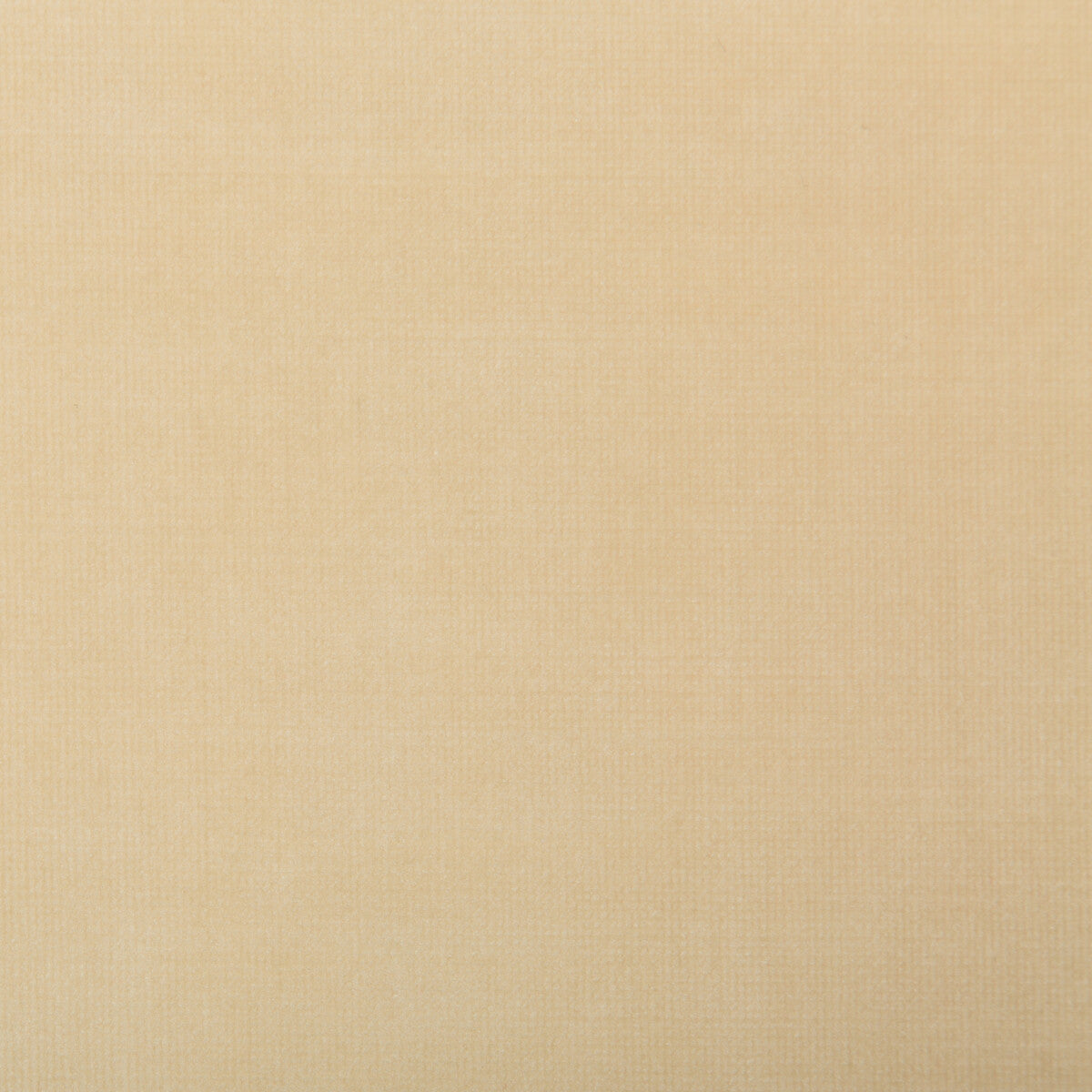 Chessford-Beige