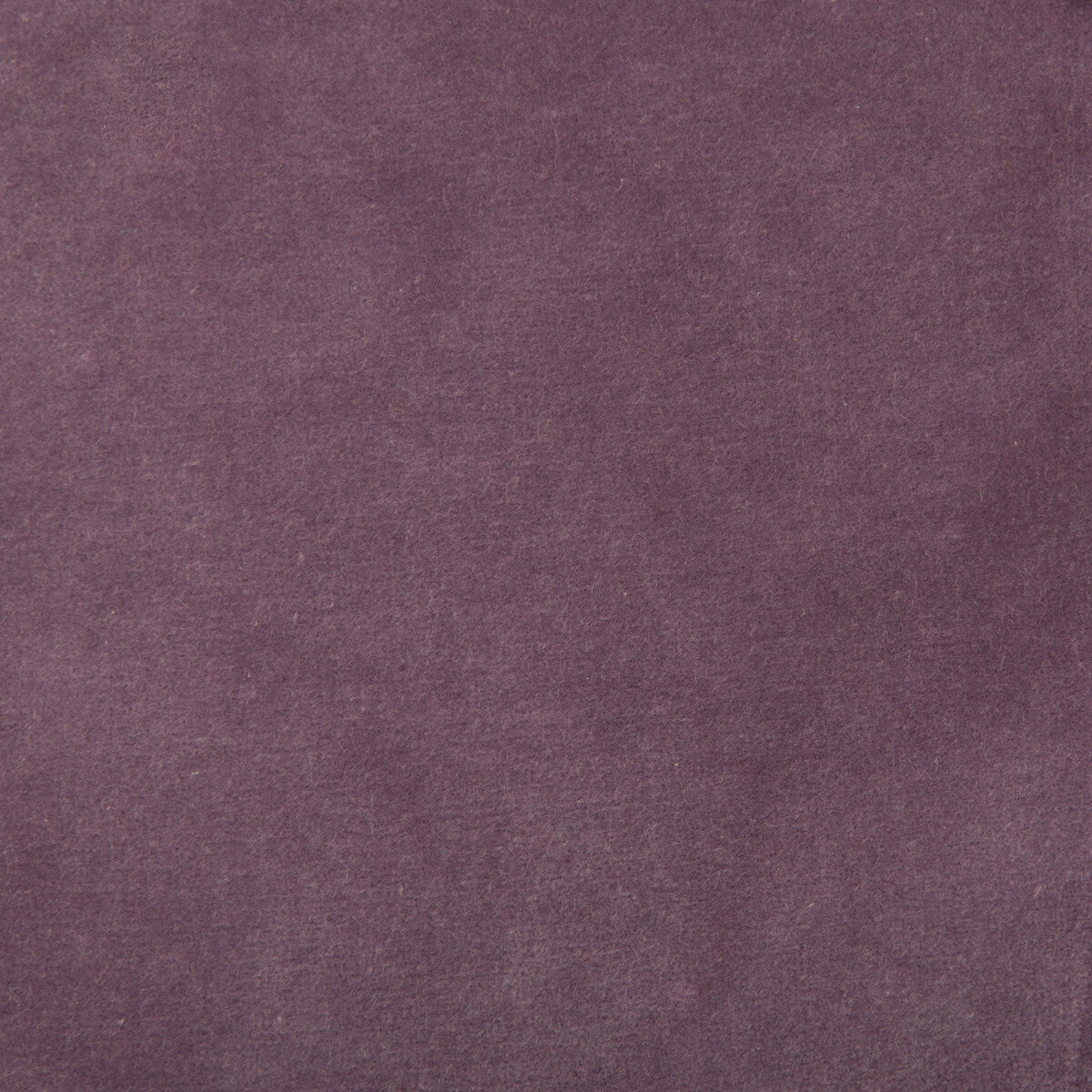 Kravet Design-35366-110