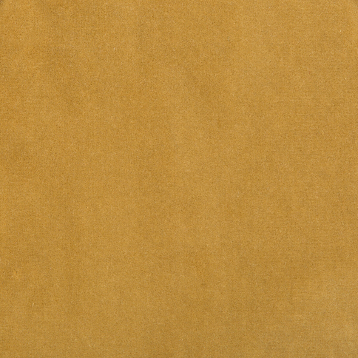 Kravet Design-35366-14