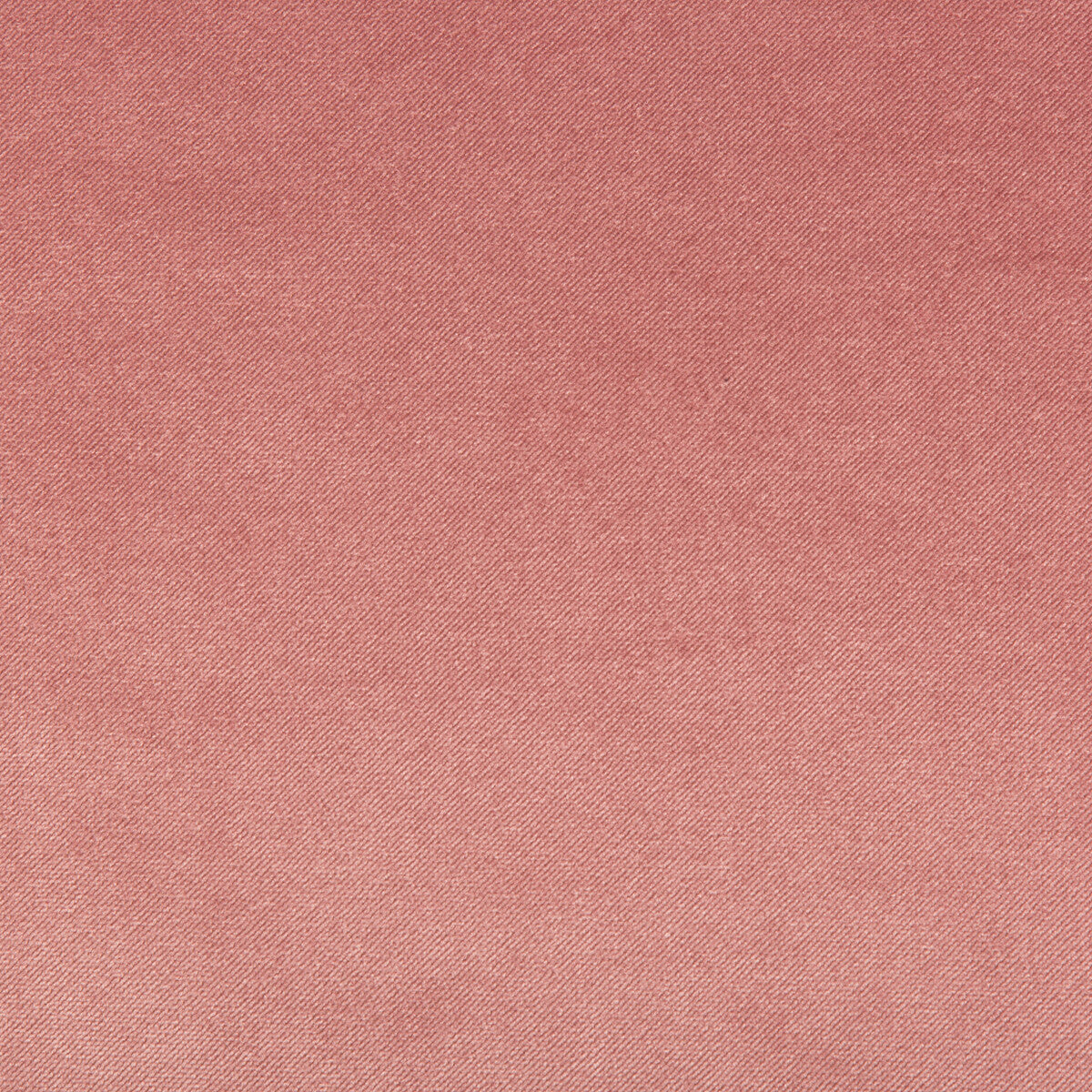 Madison Velvet-Pomelo