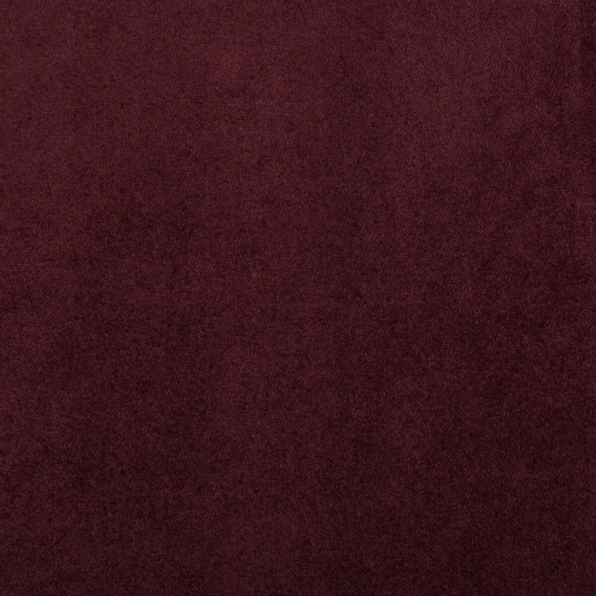 Madison Velvet-Raisin
