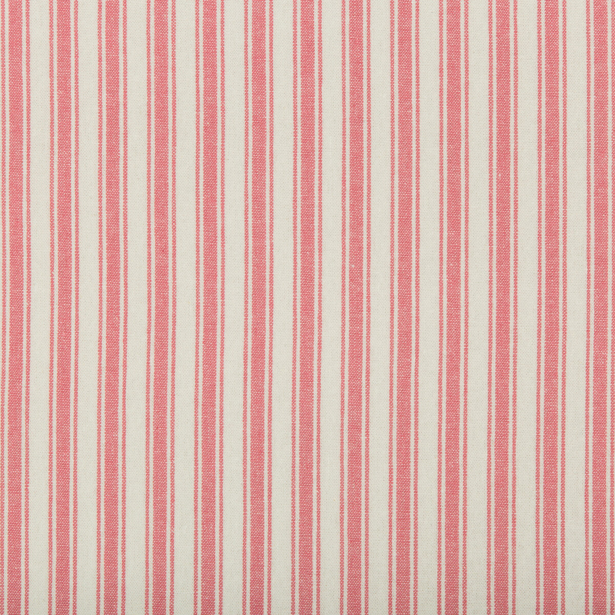 Seastripe-Geranium