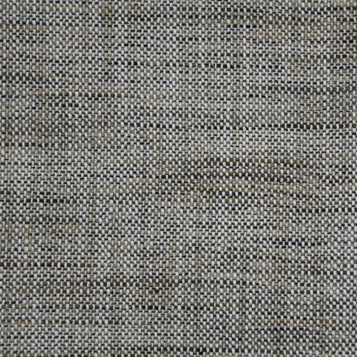 Tonquin-Anthracite