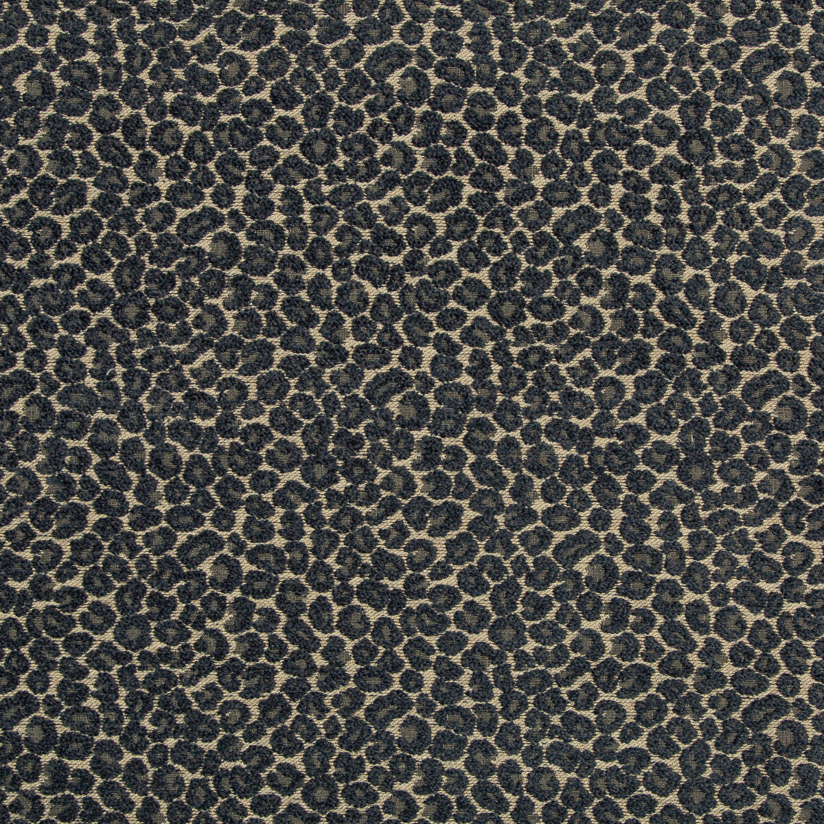 Kravet Design-35669-505