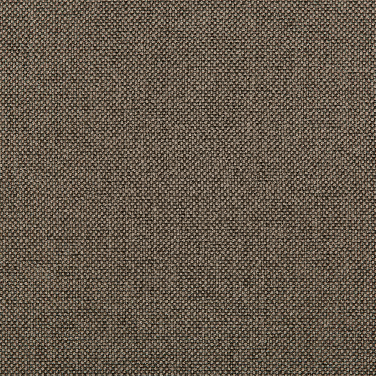 Williams-Pewter