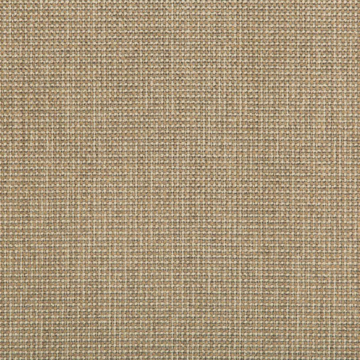 Burr-Flax