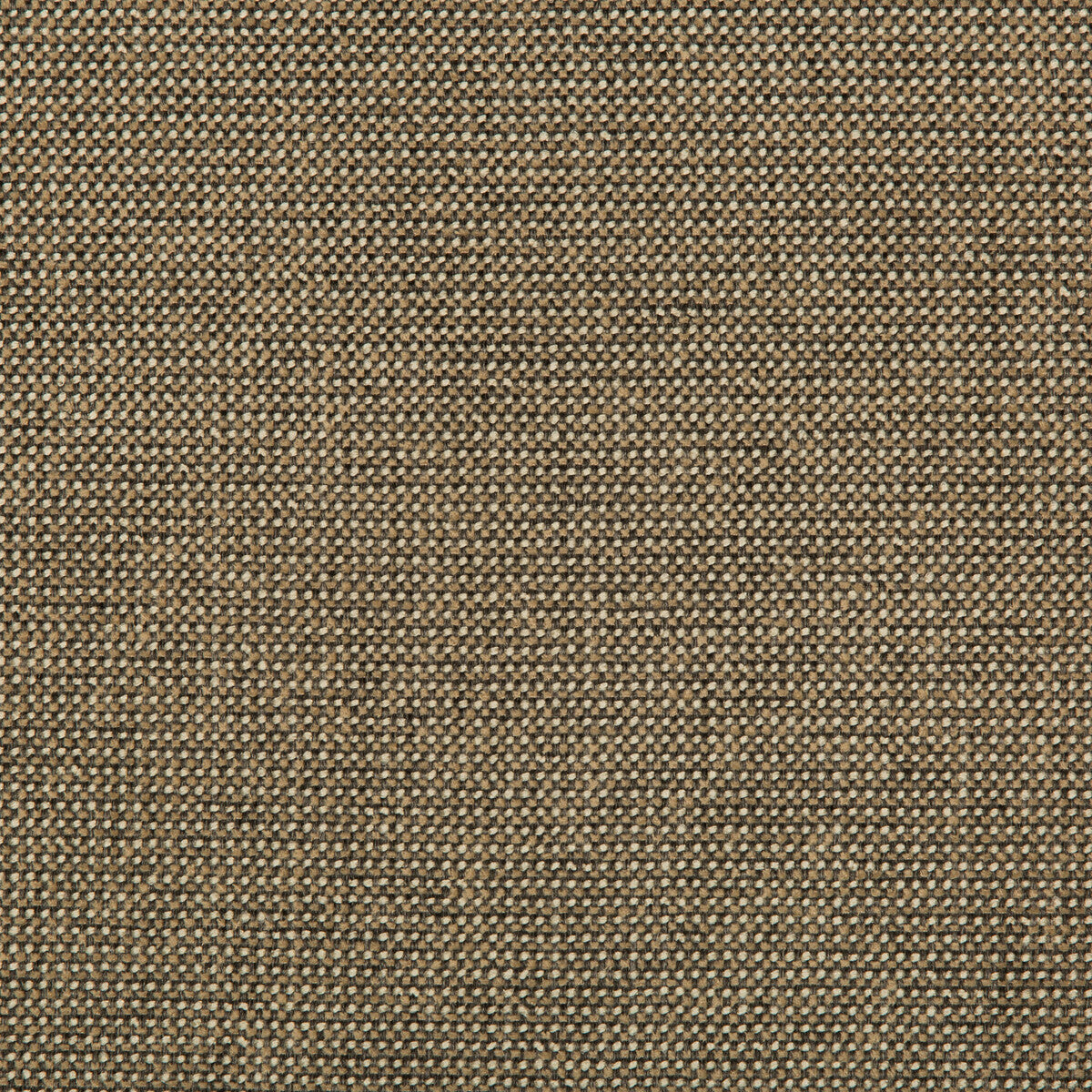 Burr-Pecan
