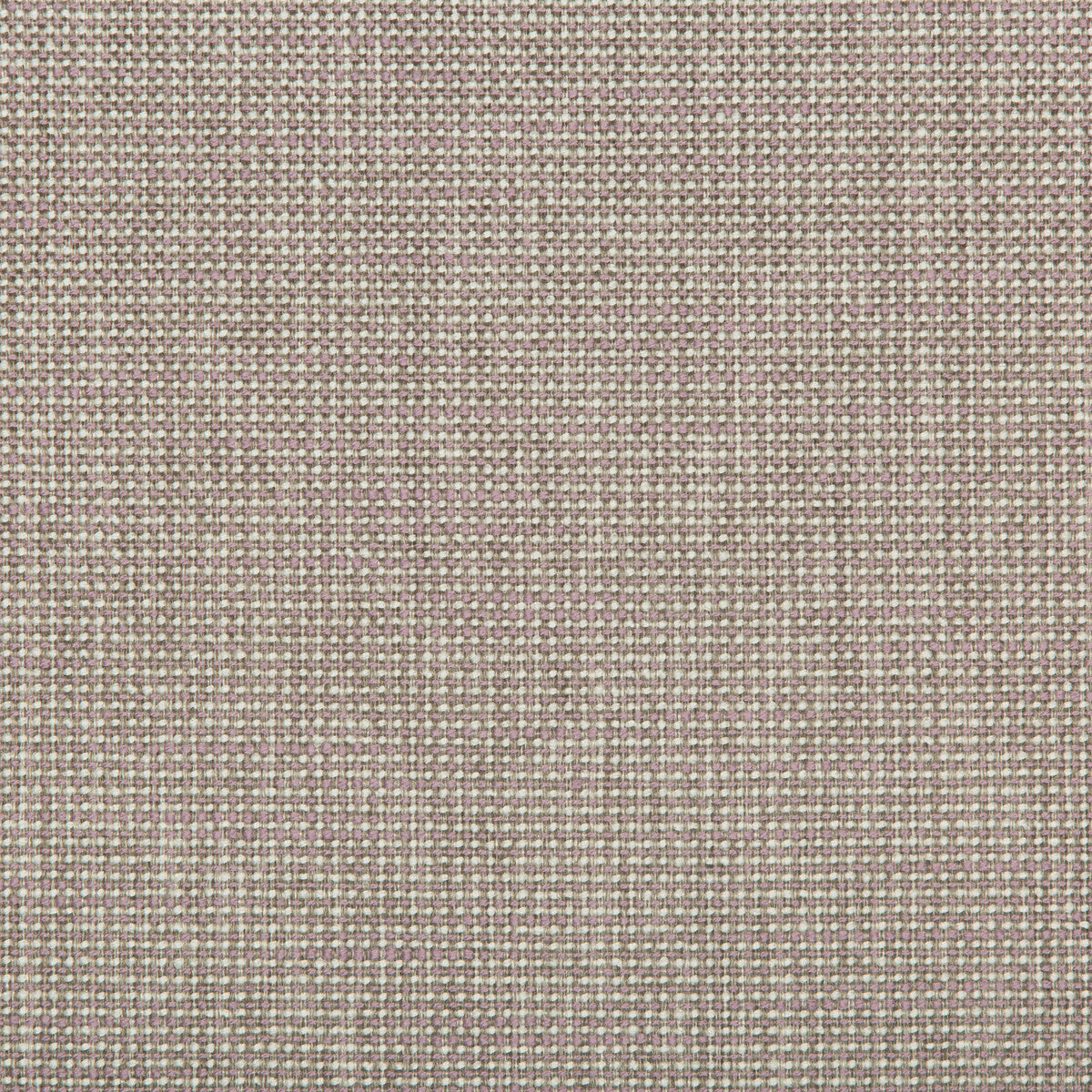 Heyward-Lilac