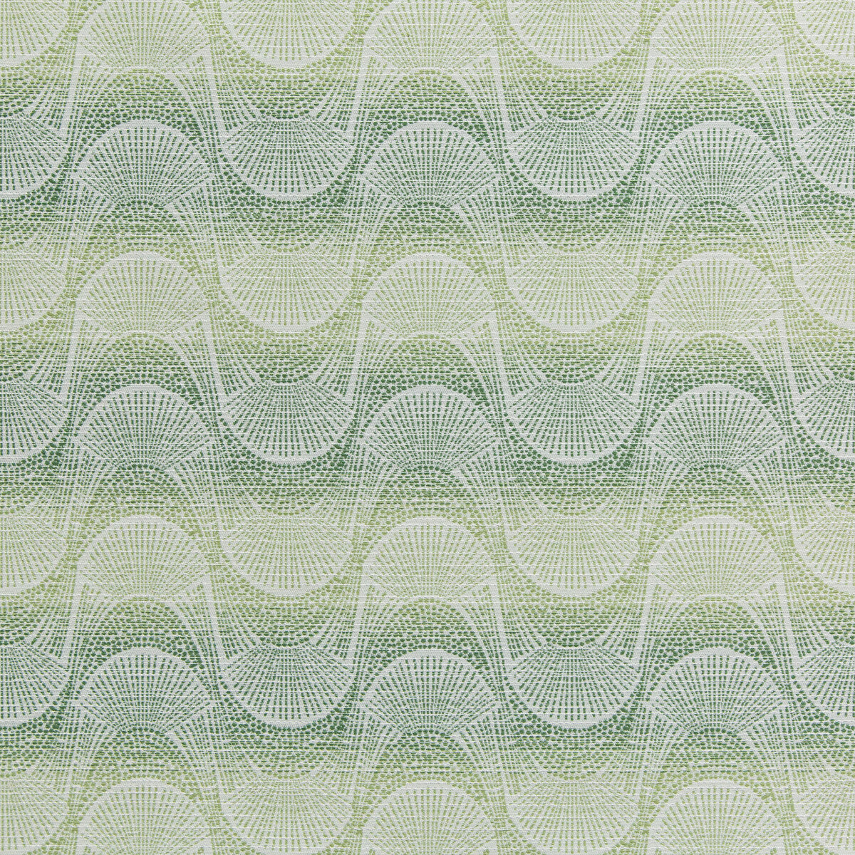 Tofino-Clover