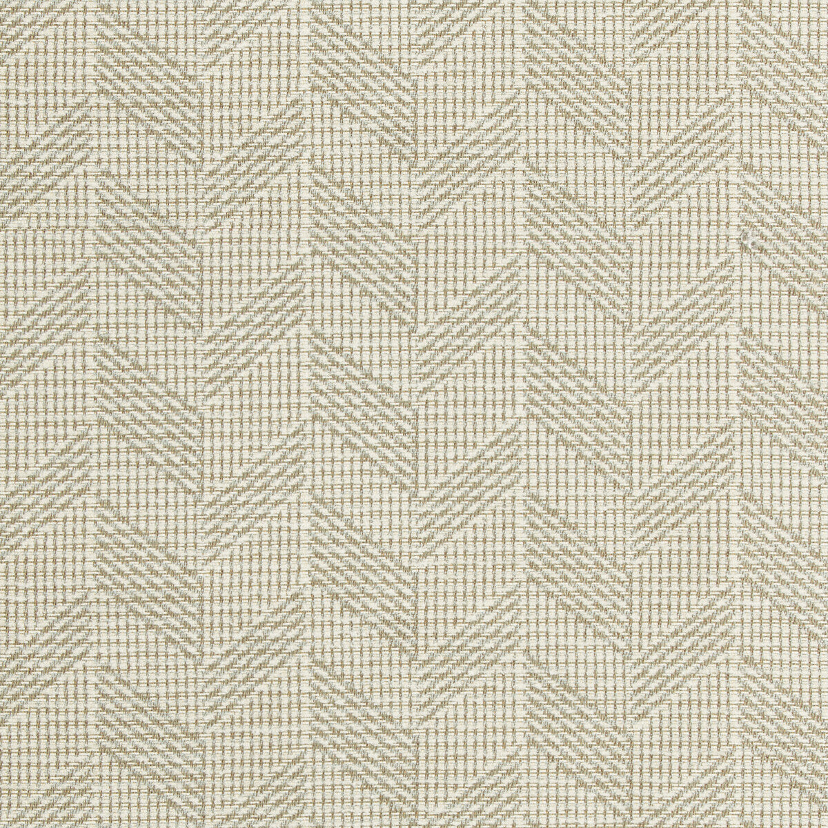 Cayuga-Boxwood