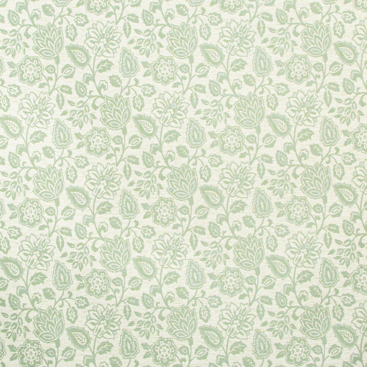Laila-Endive