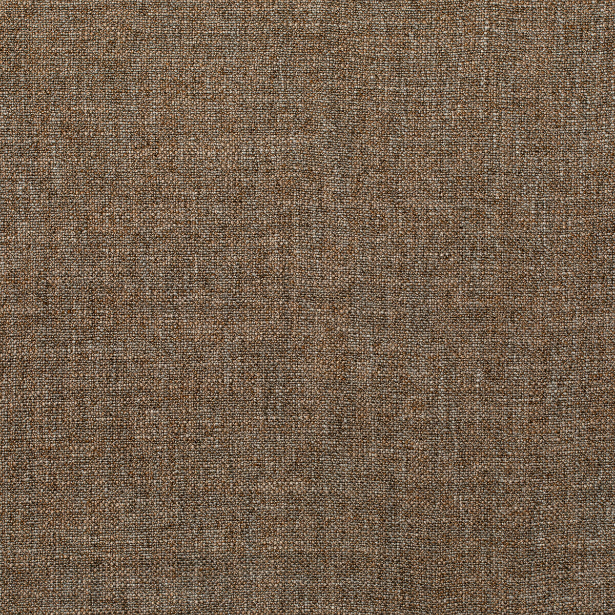 Pasaro-Vicuna