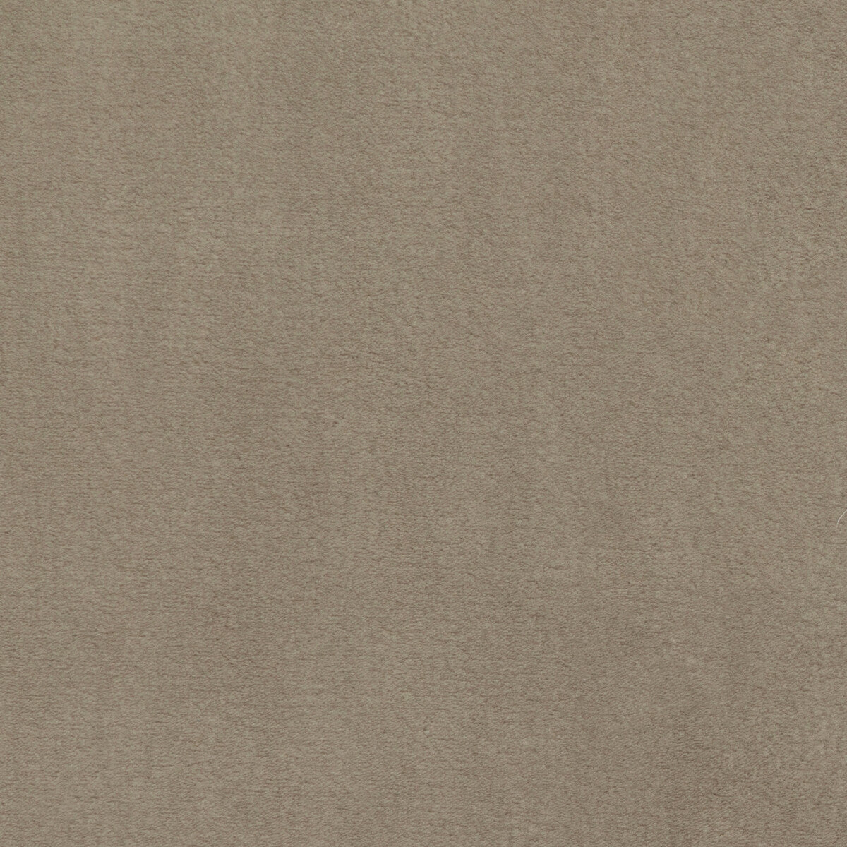 Plushilla-Beige
